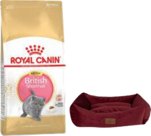 British Shorthair Kitten Yavru Kuru Kedi Maması 2 Kg,Mini Small Bordo Yatak
