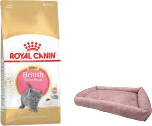 British Shorthair Kitten Yavru Kuru Kedi Maması 2 Kg,Mini Small Pembe Yatak