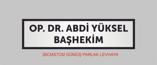 Doktor Kapı İsimliği ,Kişiye Özel Baskı Aliminyum Gümüş Parlak Metal Levha 26Cmx7Cm