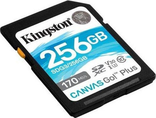 Canvas Go Plus 256 GB SDXC 170 MB/s C10 UHS-I U3 V30 SDG3/256GB SD Kart