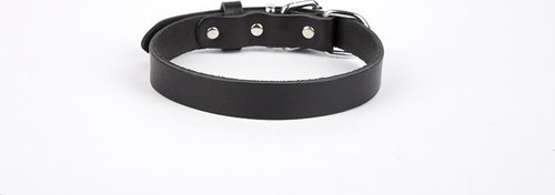 Deri El Yapımı Köpek Boyun Tasması 1,5x20-26 cm Siyah