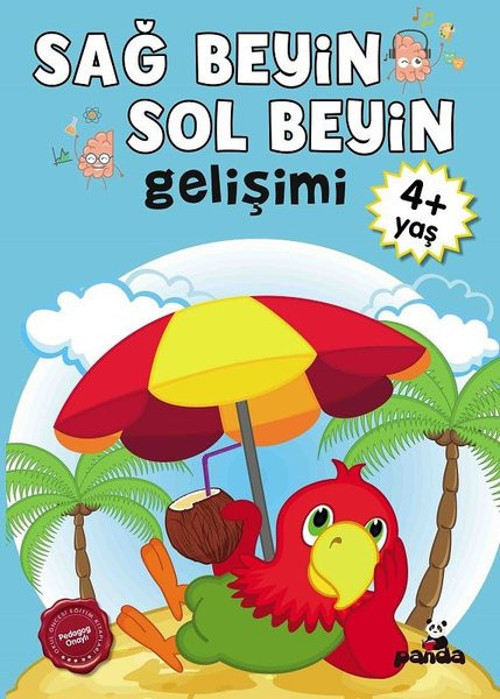 4 Yaş Sağ Beyin - Sol Beyin Gelişimi
