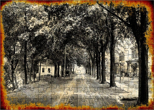 Ahşap Mdf Puzzle Yapboz Ağaçlı Yol 120 Parça 25*35 Cm