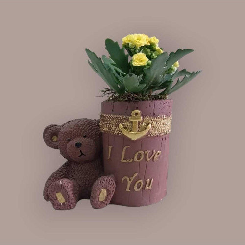 I Love You Ayıcık Saksıda Sarı Renk Kalanşo (Kalanchoe)