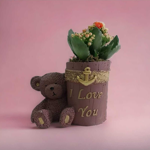 I Love You Ayıcık Saksıda Turuncu Renk Kalanşo (Kalanchoe)