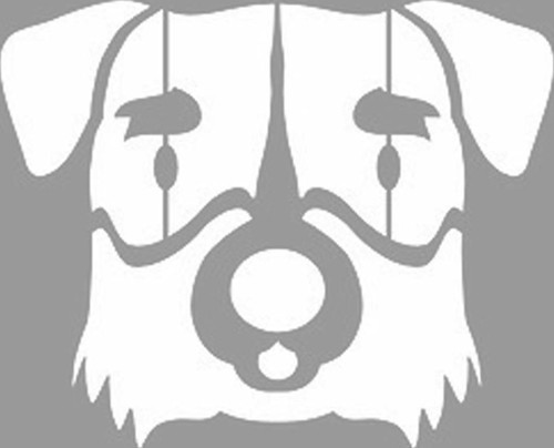 Dağ Köpeği Stencil Boyama şablonu 30x30 cm, Duvar Stencil, Fayans Stencil, Mobilya Stencil