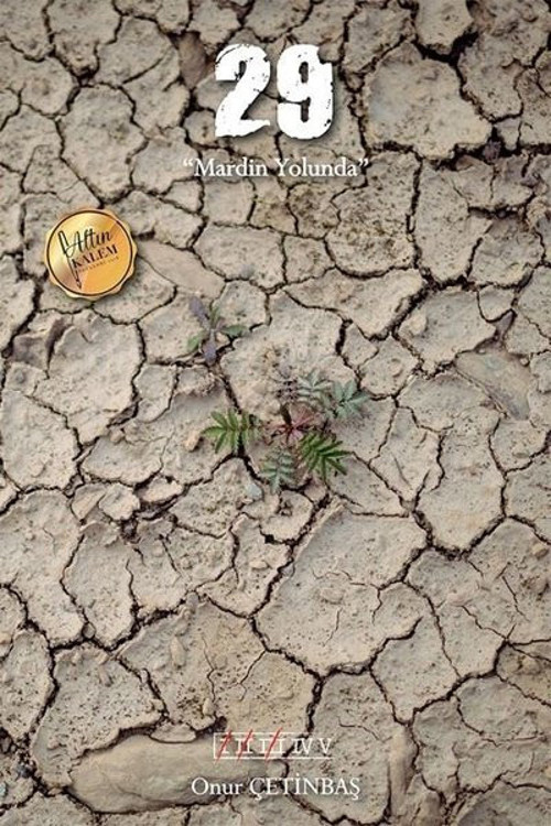 29-Mardin Yolunda