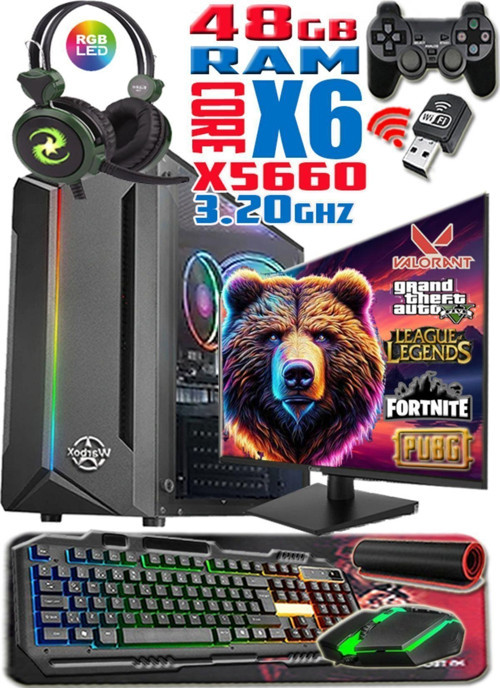 Bigbear Xeon X5660 48Gb Ram 256Gb Ssd 250Gb Hdd R7 240-4Gb E.Kartı 20" Monitör Gaming Bilgisayar