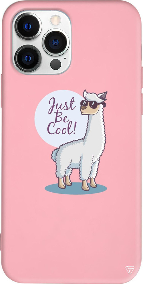 iPhone 15 Pro Max Uyumlu Pembe Renkli Silikon Cool Lama Telefon Kılıfı