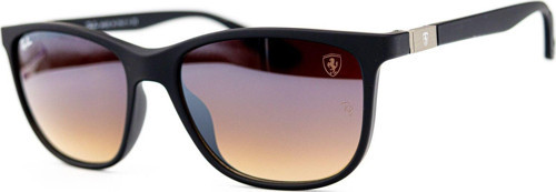 RB 4330-CH F602/H2 55-15 Unisex Güneş Gözlüğü