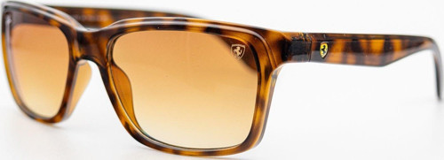 RB 4393M F609/13 54-19 Unisex Güneş Gözlüğü