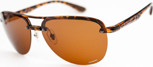 RB 4293-CH 894/A2 63-15 Polarize Unisex Güneş Gözlüğü