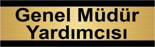 Genel Müdür Yardımcısı 10X20Cm Altın Renk Metal Yönlendirme Levhası