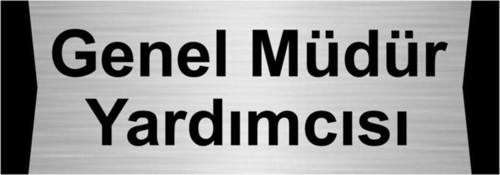 Genel Müdür Yardımcısı 5X20Cm Gümüş Renk Metal Yönlendirme Levhası
