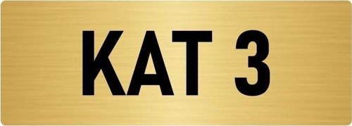 Metal Yönlendirme Levhası, Departman Kapı Isimliği Kat 3 5X20 Cm Altın Renk
