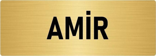 Metal Yönlendirme Levhası, Departman Kapı Isimliği Amir 5X20 Cm Altın Renk