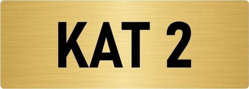 Metal Yönlendirme Levhası, Departman Kapı Isimliği Kat 2 10X20 Cm Altın Renk