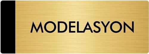 Metal Yönlendirme Levhası, Departman Kapı Isimliği Modelasyon 5X20 Cm Altın Renk