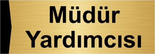 Müdür Yardımcısı 10X20Cm Altın Renk Metal Yönlendirme Levhası