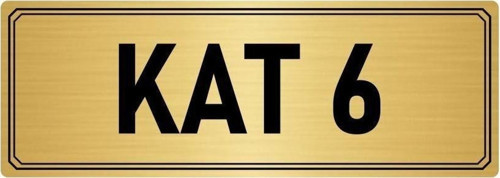 Metal Yönlendirme Levhası, Departman Kapı Isimliği Kat 6 5X20 Cm Altın Renk