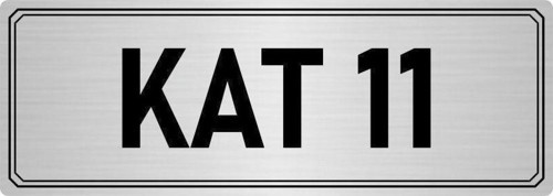 Metal Yönlendirme Levhası, Departman Kapı Isimliği Kat 11 7X20 Cm Gümüş Renk
