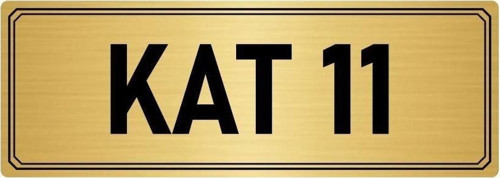 Metal Yönlendirme Levhası, Departman Kapı Isimliği Kat 11 5X20 Cm Altın Renk