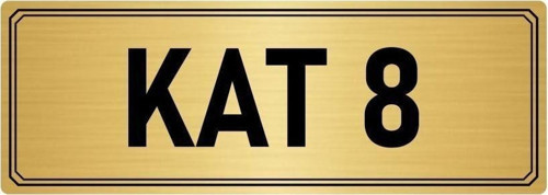 Metal Yönlendirme Levhası, Departman Kapı Isimliği Kat 8 10X20 Cm Altın Renk