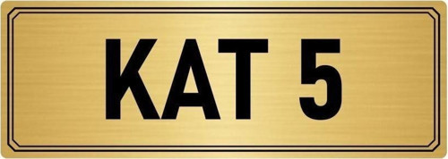 Metal Yönlendirme Levhası, Departman Kapı Isimliği Kat 5 5X20 Cm Altın Renk