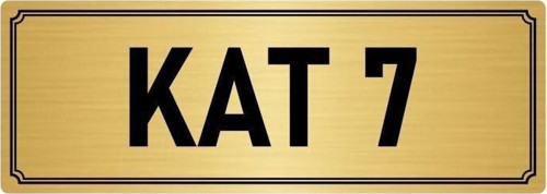 Metal Yönlendirme Levhası, Departman Kapı Isimliği Kat 7 10X20 Cm Altın Renk