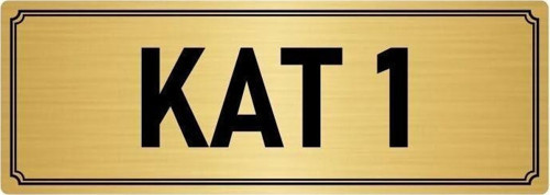 Metal Yönlendirme Levhası, Departman Kapı Isimliği Kat 1 5X20 Cm Altın Renk