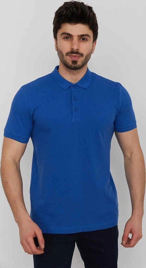 Caz 4613 Ci?Vi?T Mavi?Si? Polo Yaka T-Shirt