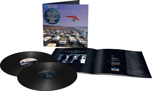 Pink Floyd - A Momentary Lapse Of Reason Remixed & Updated (2 Plak)