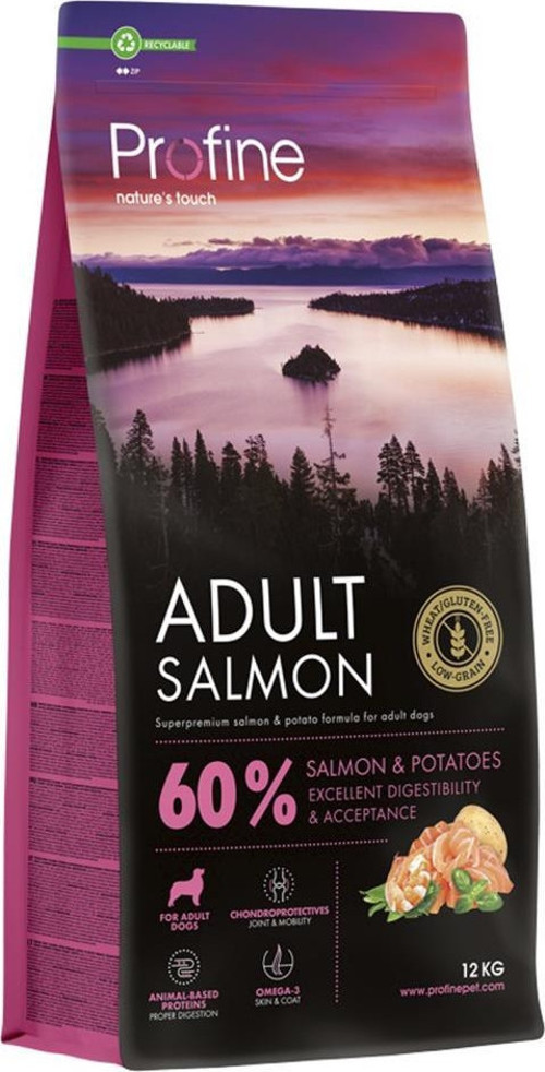 12Kg Gluten Free Adult Salmon Glutensiz Somon Etli Yetişkin Köpek Maması