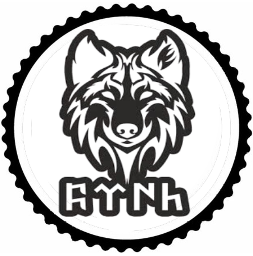 Kurt Ve Köktürkçe Türk Yazısı Tasarım Sticker 10 x 10 cm 332293