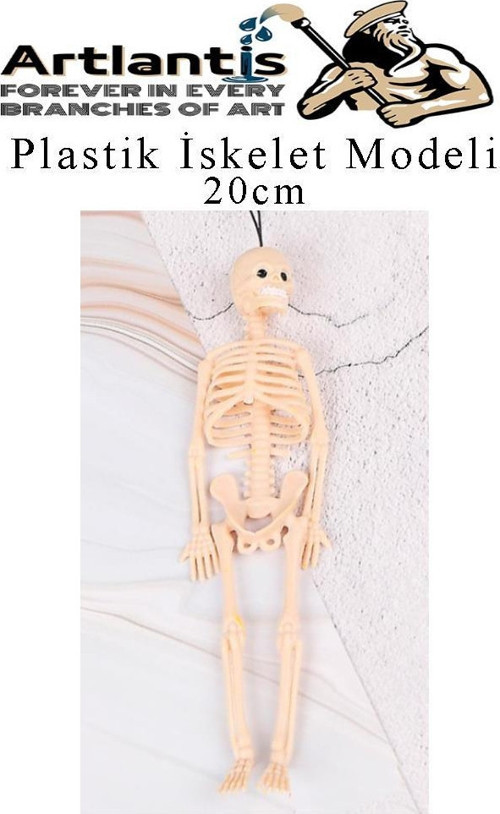 Plastik İskelet Modeli 20 cm 1 Adet Plastik İnsan İsket Modeli Silikon İskelet Deneyi Araba Süsü