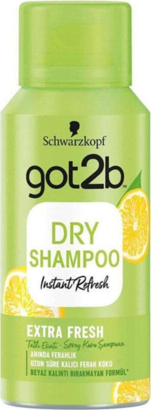 Dry Shampoo 100 ml