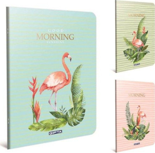 Morning Plastik Kapak Defter A4 Kareli 60 Yaprak (4178)