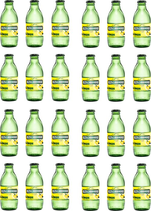 Çamlık Nane Limon Aromalı Maden Suyu 200 Ml X 24 Adet