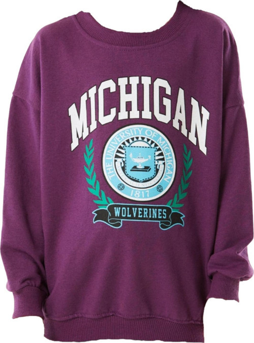 Kız Çocuk Michigan Yazı Desenli Mor Renk Mevsimlik Sweatshirt