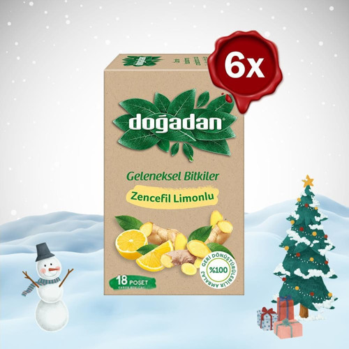 Yılbaşı Paketi Zencefil Limonlu Bitki Çayı 18'li x 6