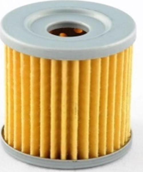Yağ Filtresi Pıoneer Ramzey Xf200-10v-oem 200cc