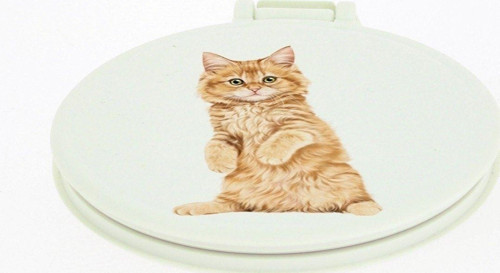 Sevimli Kedi Desenli Çanta Içi Küçük Makyaj Aynası