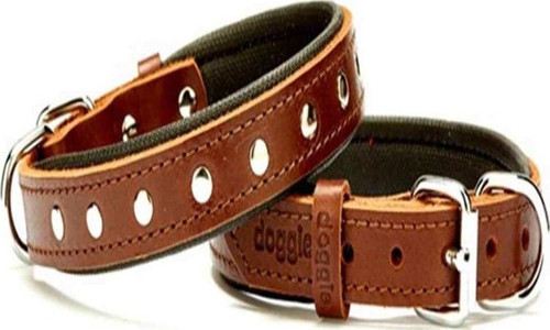 Comfort Rivet Desenli Deri Köpek Boyun Tasması SBT-2011 M Kahverengi