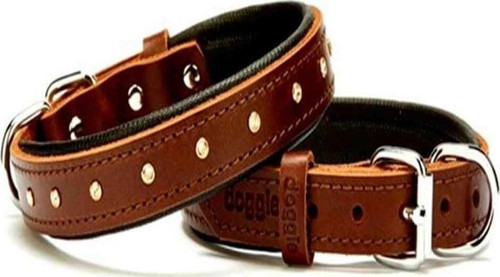 Comfort Rivetli Deri Boyun Tasması Kahverengi SBT-3011 3,0x55 cm