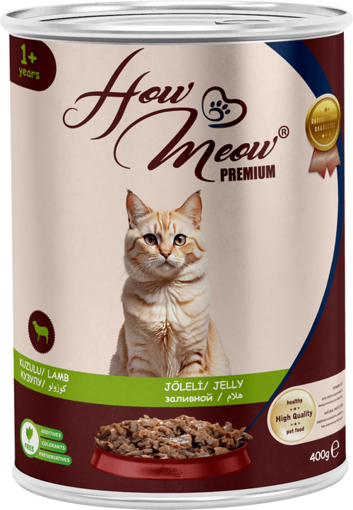 12 ADET PATE YETİŞKİN KEDİ YAŞ MAMASI KUZULU 400 GRAM