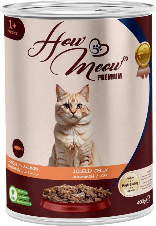 12 ADET PATE YETİŞKİN KEDİ YAŞ MAMASI SOMONLU 400 GRAM