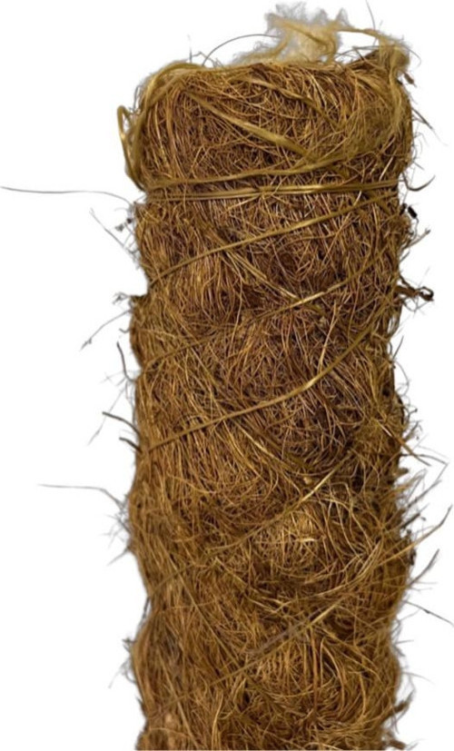 Yosun Bitki Destek Çubuğu (120 cm)
