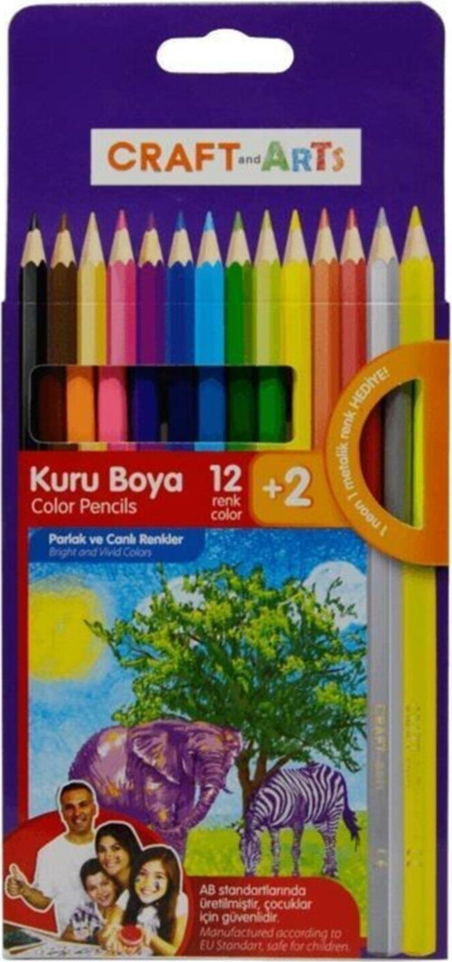 Kuru Boya 12+2 Renk