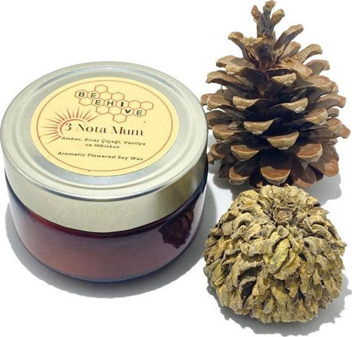 3 Nota Hediyelik Mum Soy Wax Candle (Doğal Soya Mumu)