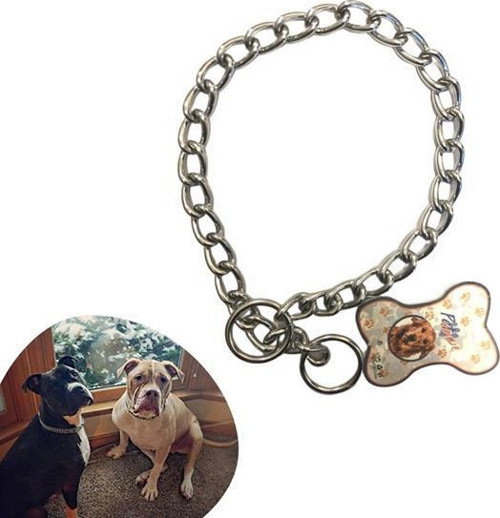 65 Cm Uzunlukta Zincir Model Köpek İçin Boyun Tasması